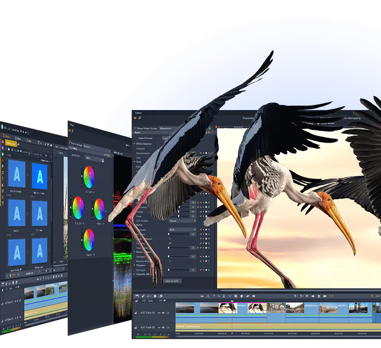 Loading image...